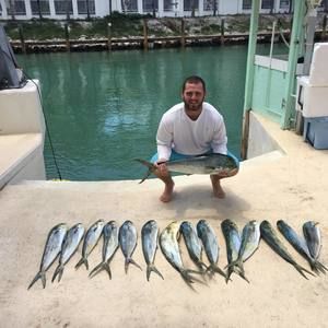 Meet your Posher, David